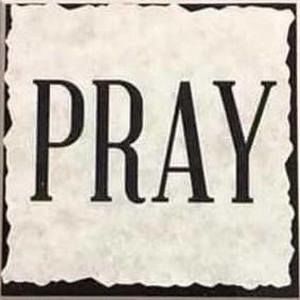 Meet your Posher, Terry